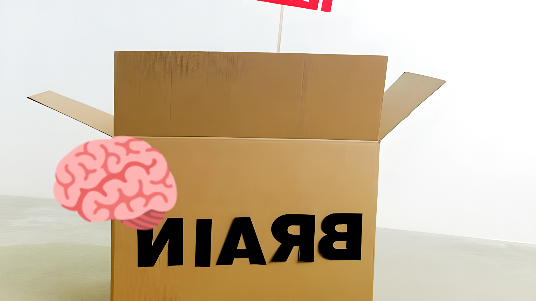 Il segreto degli esperti per una memoria di ferro: "Il Palazzo della Memoria" finalmente svelato