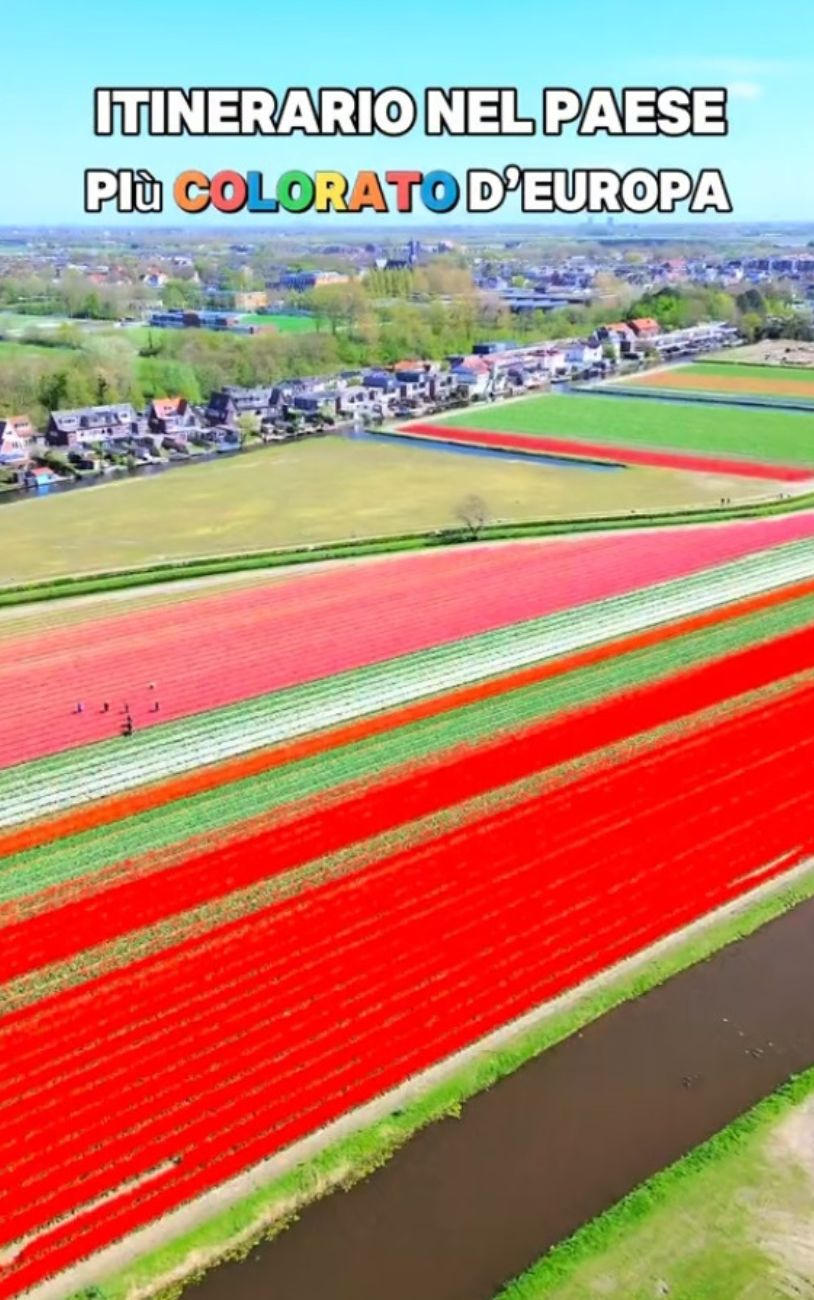 Estate 2024, l'idea di viaggio low cost in Olanda