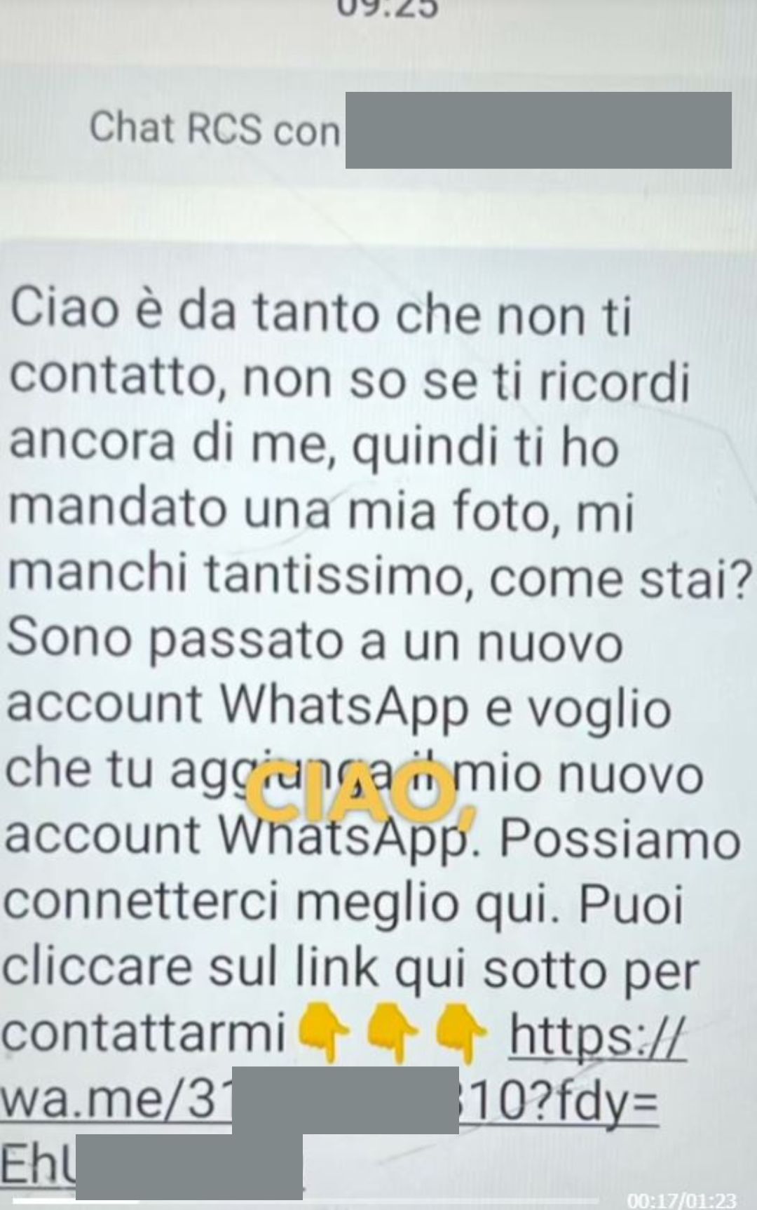 Truffa dell'SMS, il testo del messaggio incriminato