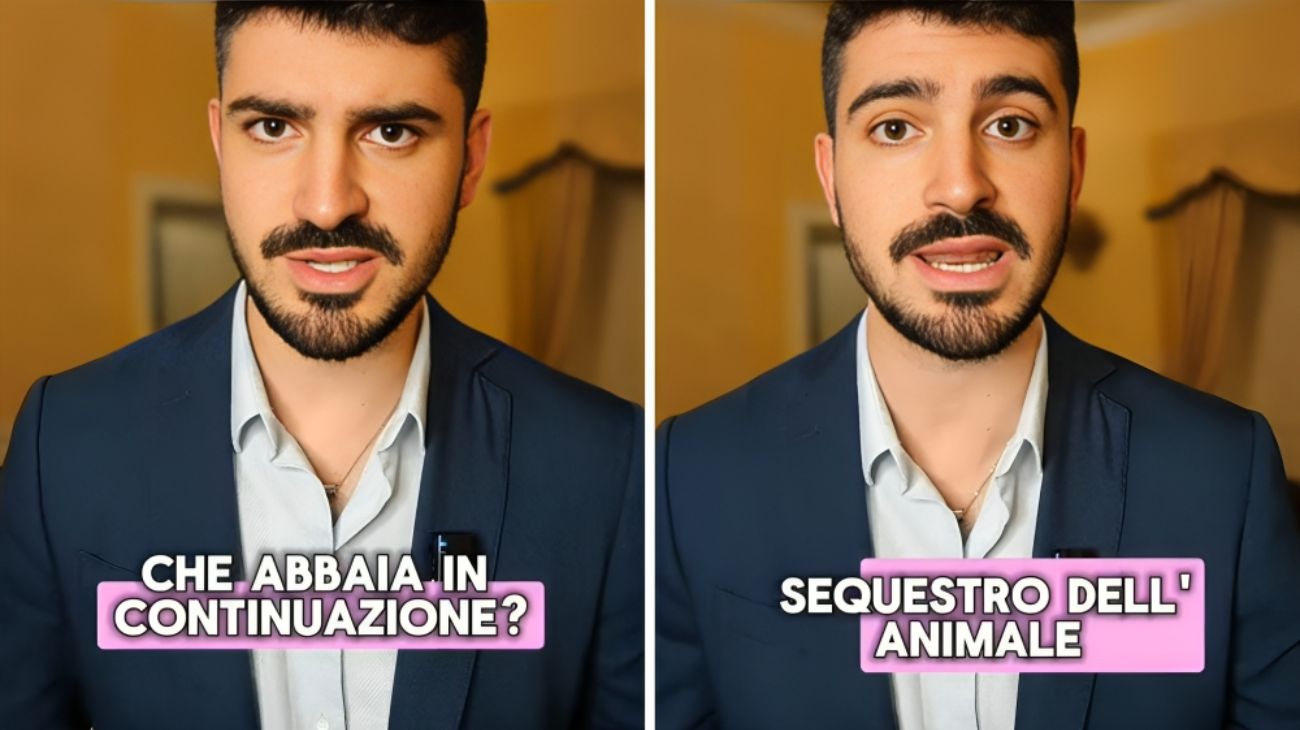 Cane che abbaia in caso, attenzione alle possibili conseguenze