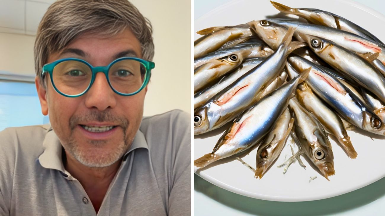 Alici e acciughe nei supermercati, qual è la reale differenza