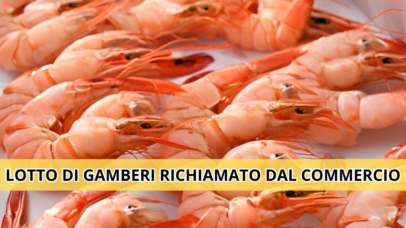Gamberi, lotto richiamato dal commercio