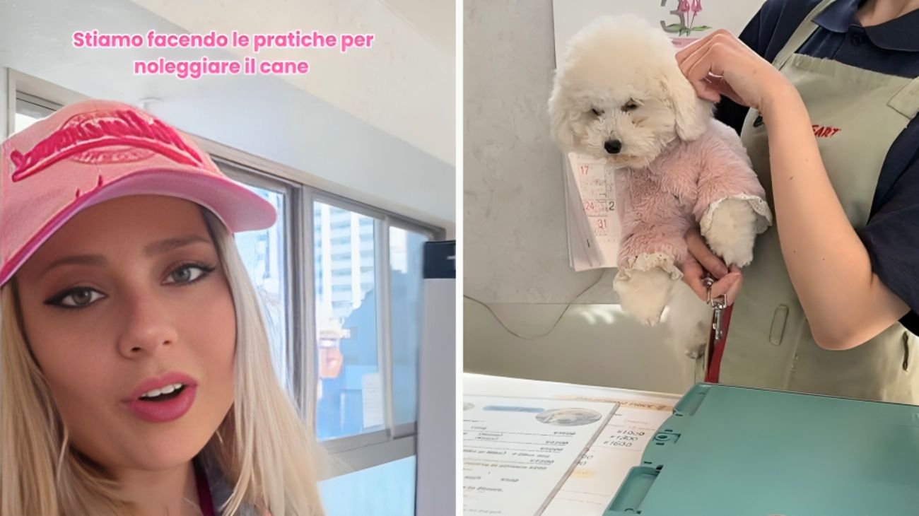 Italiana noleggia un cane in Giappone: "Vi spiego come funziona"