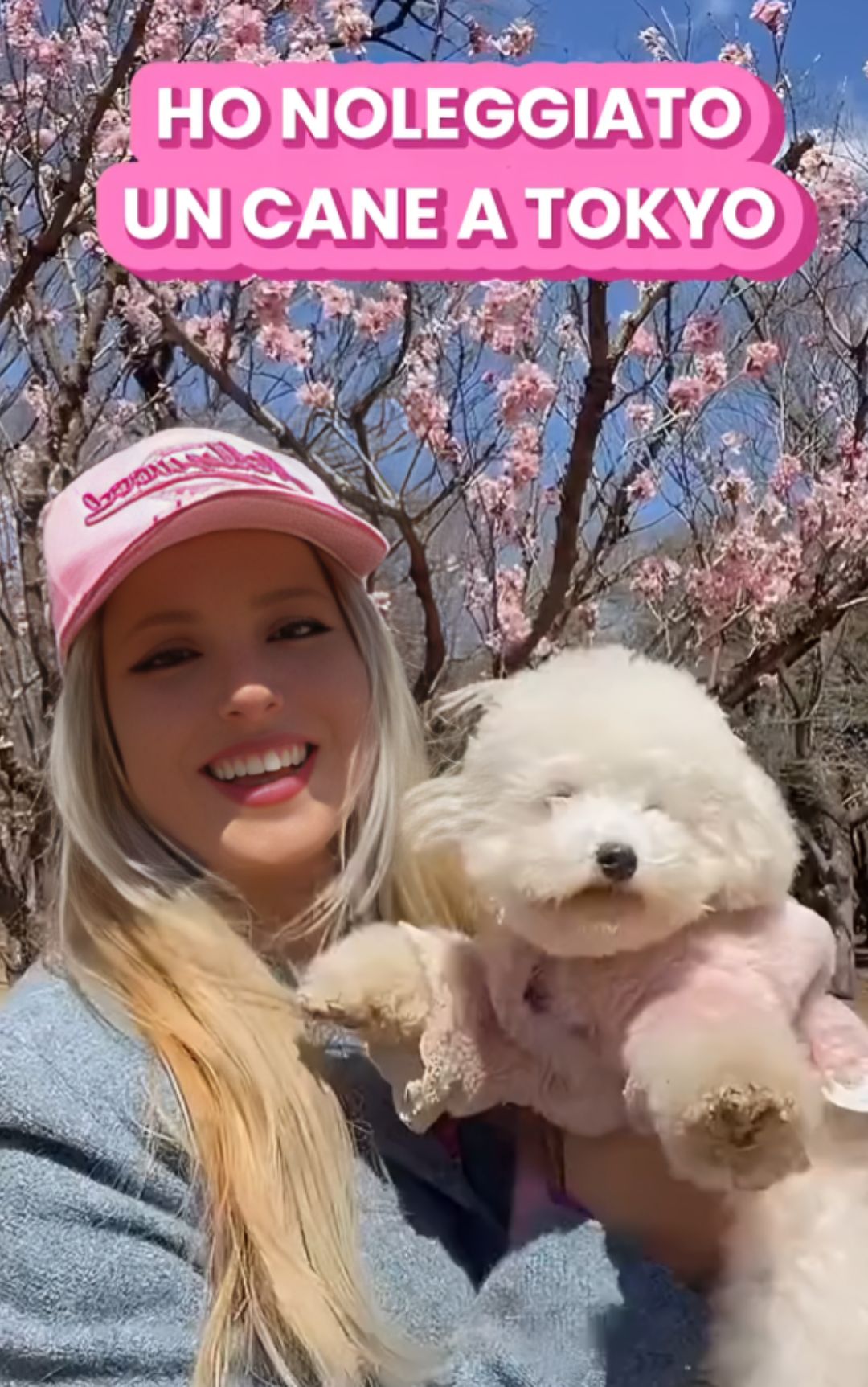 Giappone, italiana noleggia un cane e scatena le critiche
