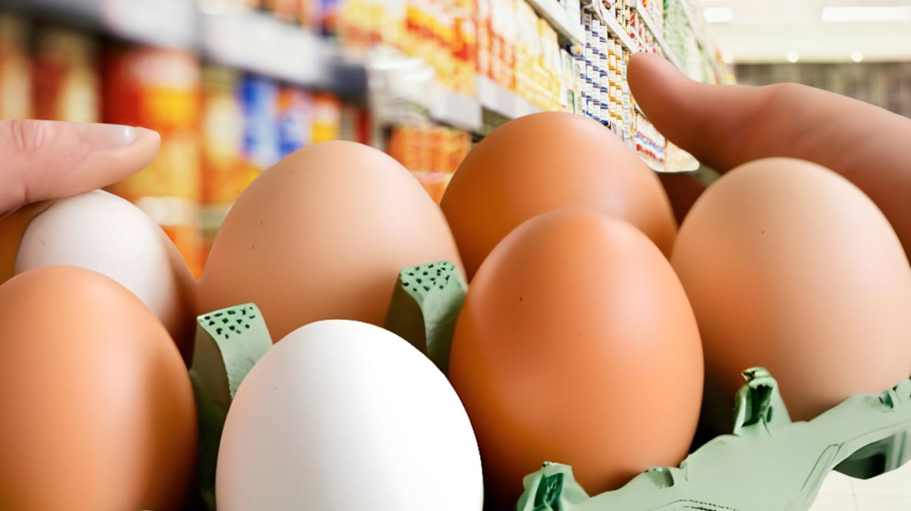 Quali sono le migliori uova in vendita: due marchi hanno ottenuto il punteggio più alto