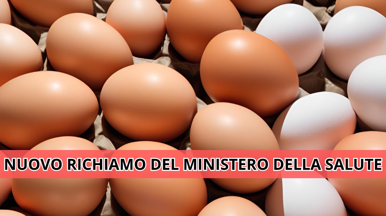 Confezioni di uova richiamate dal commercio: l'allerta del Ministero della Salute