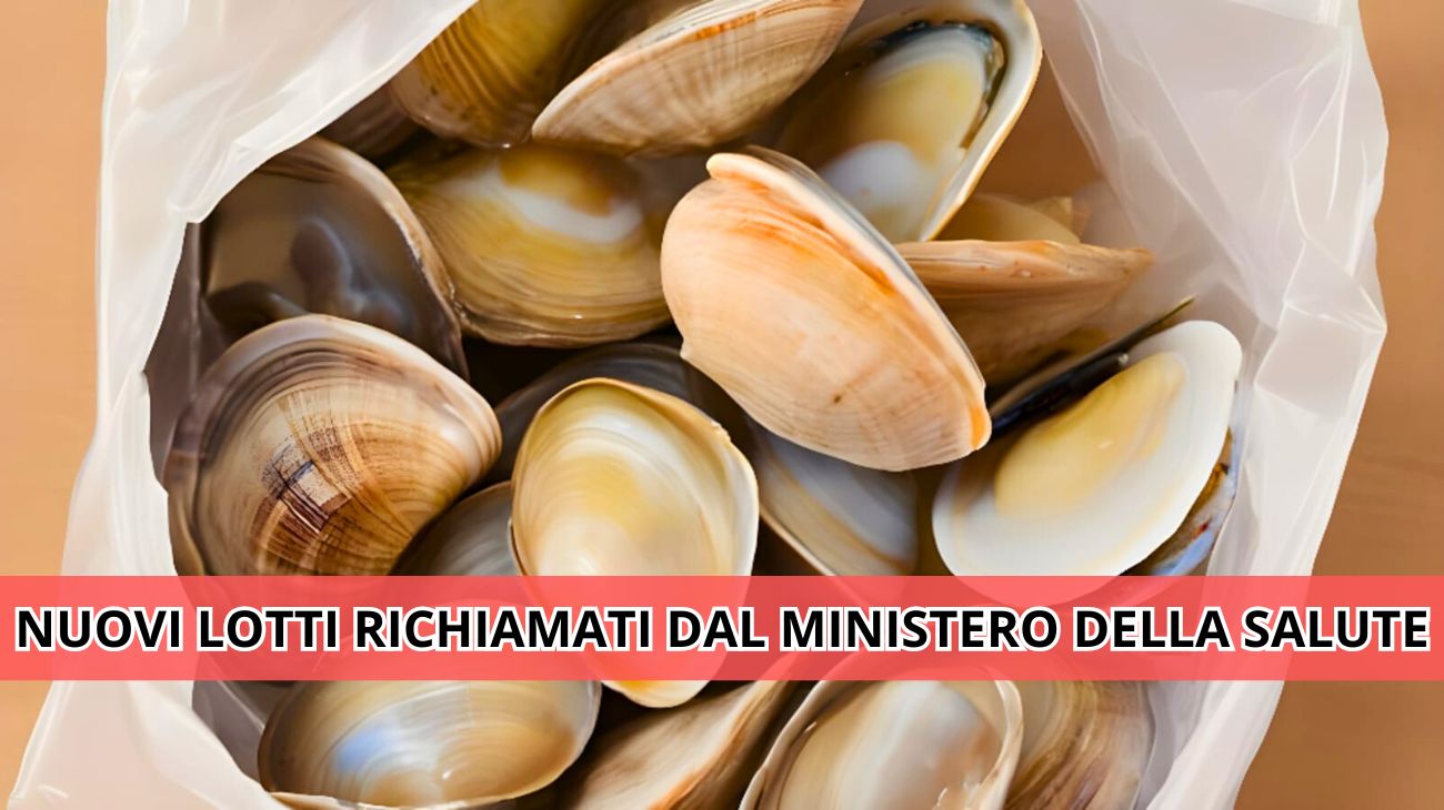 Vongole, nuovi avvisi di richiamo alimentare
