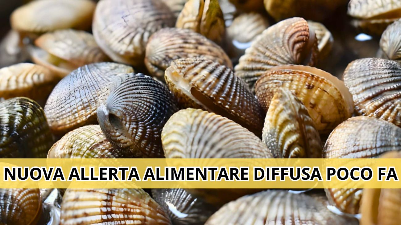 Lotti di vongole richiamate dai supermercati