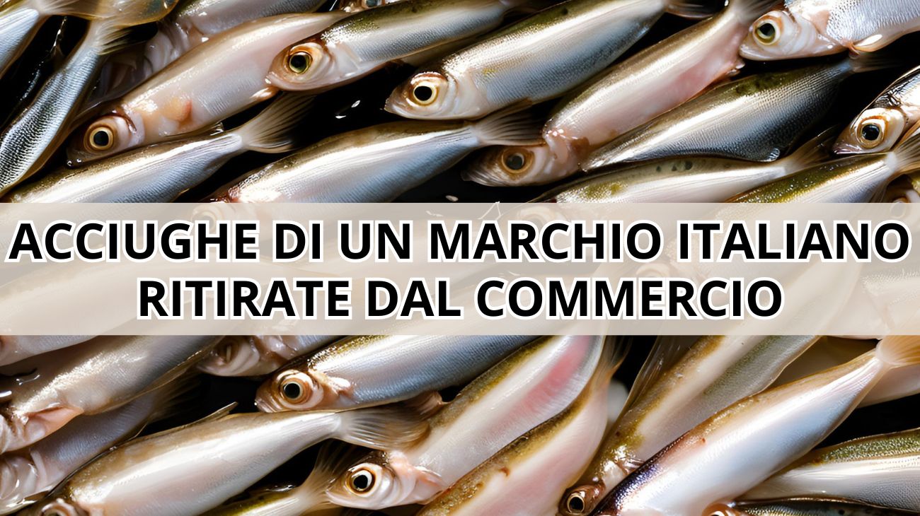 Acciughe richiamate dal commercio per rischio chimico