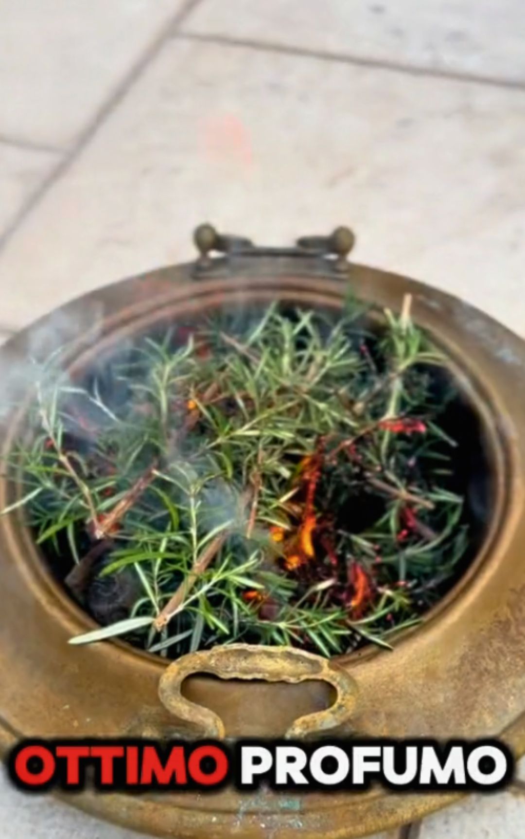 Col metodo arabo possiamo dire addio alle zanzare