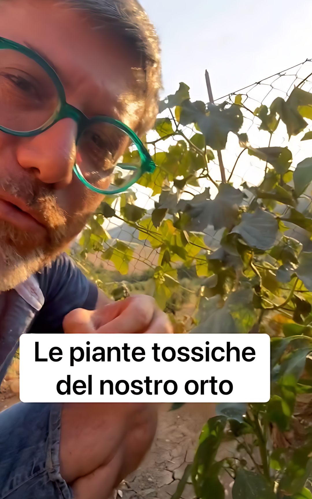 Patate, quando è necessario fare attenzione