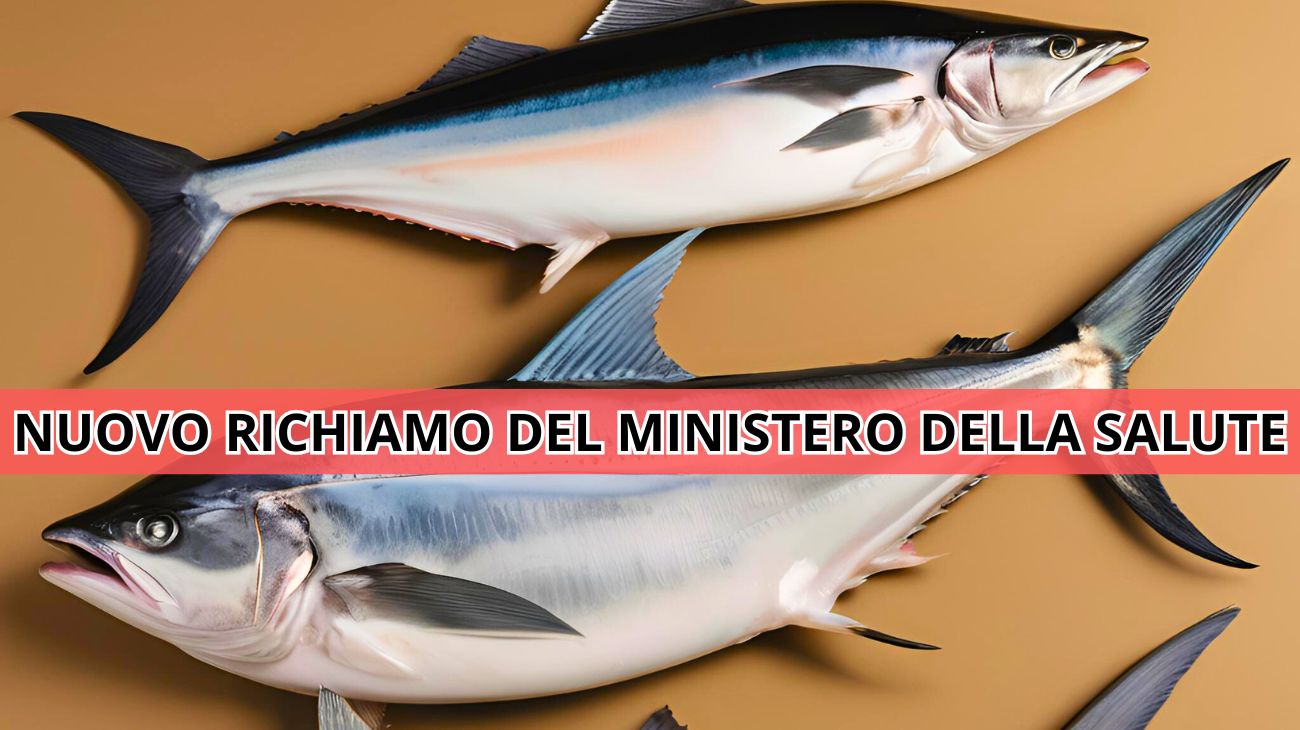 Pesce richiamato dal commercio: il Ministero della Salute diffonde l'allerta