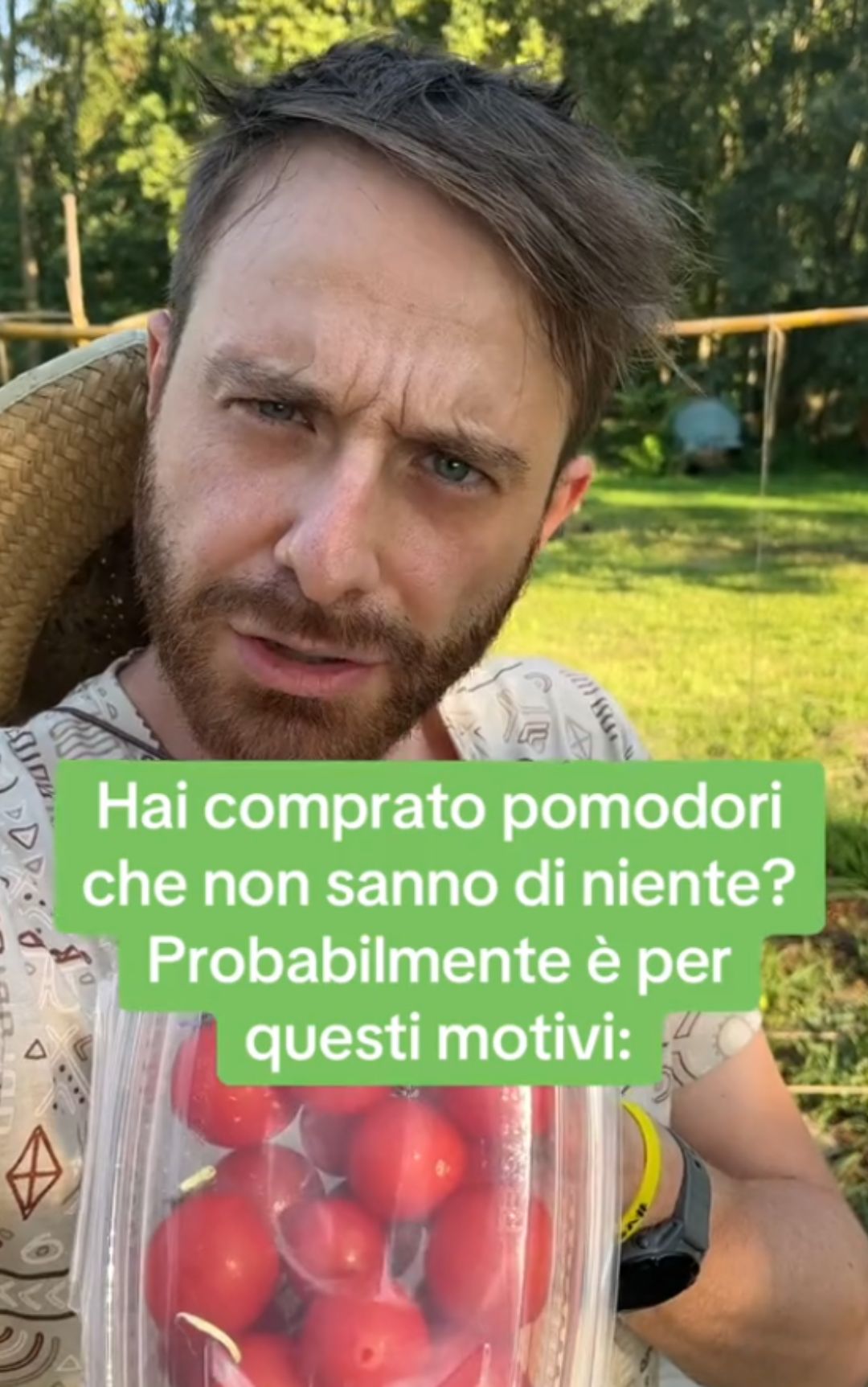 Pomodori, questi dettagli fanno la differenza nella scelta