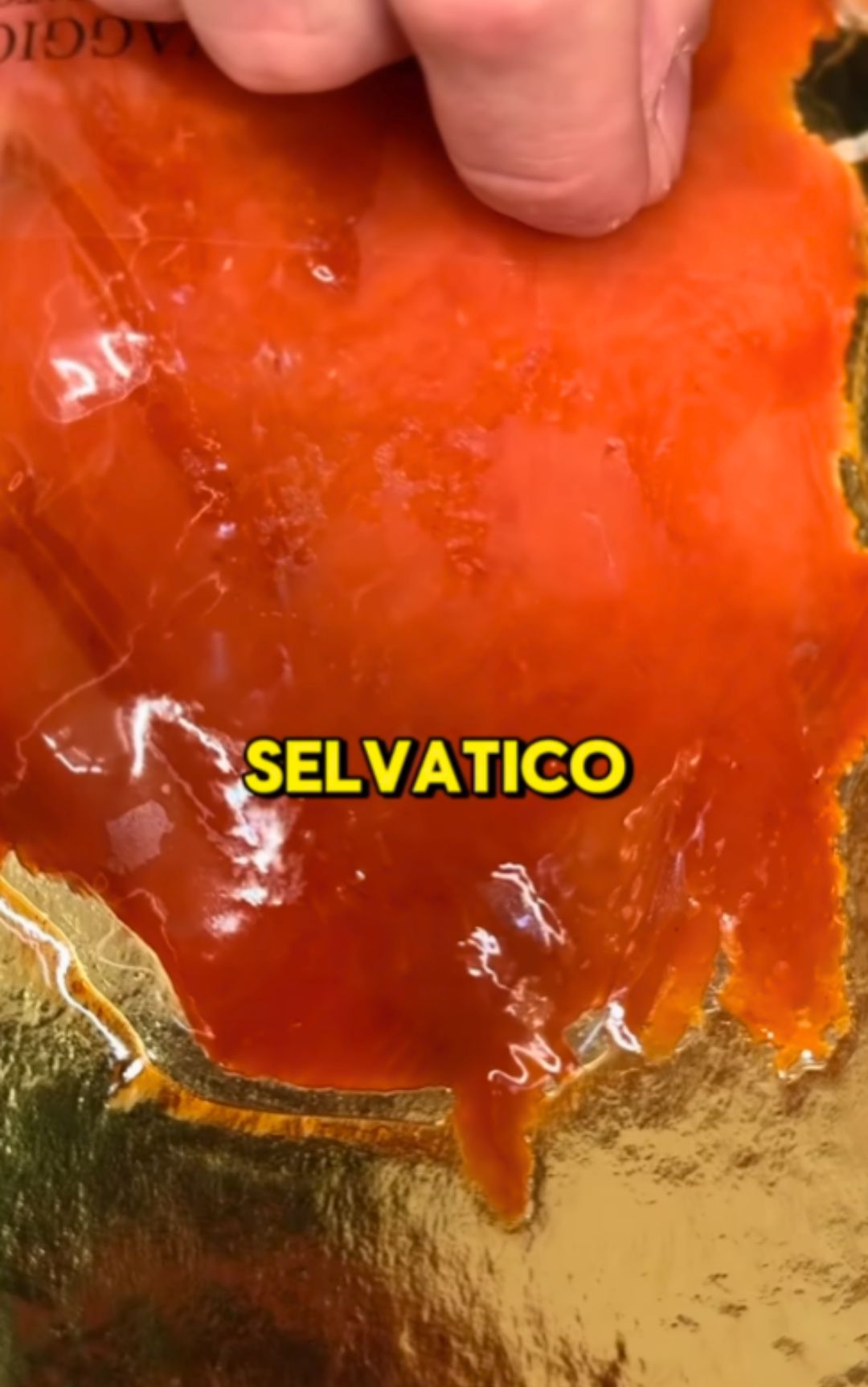 Salmone, che differenza c'è tra selvatico e da allevamento