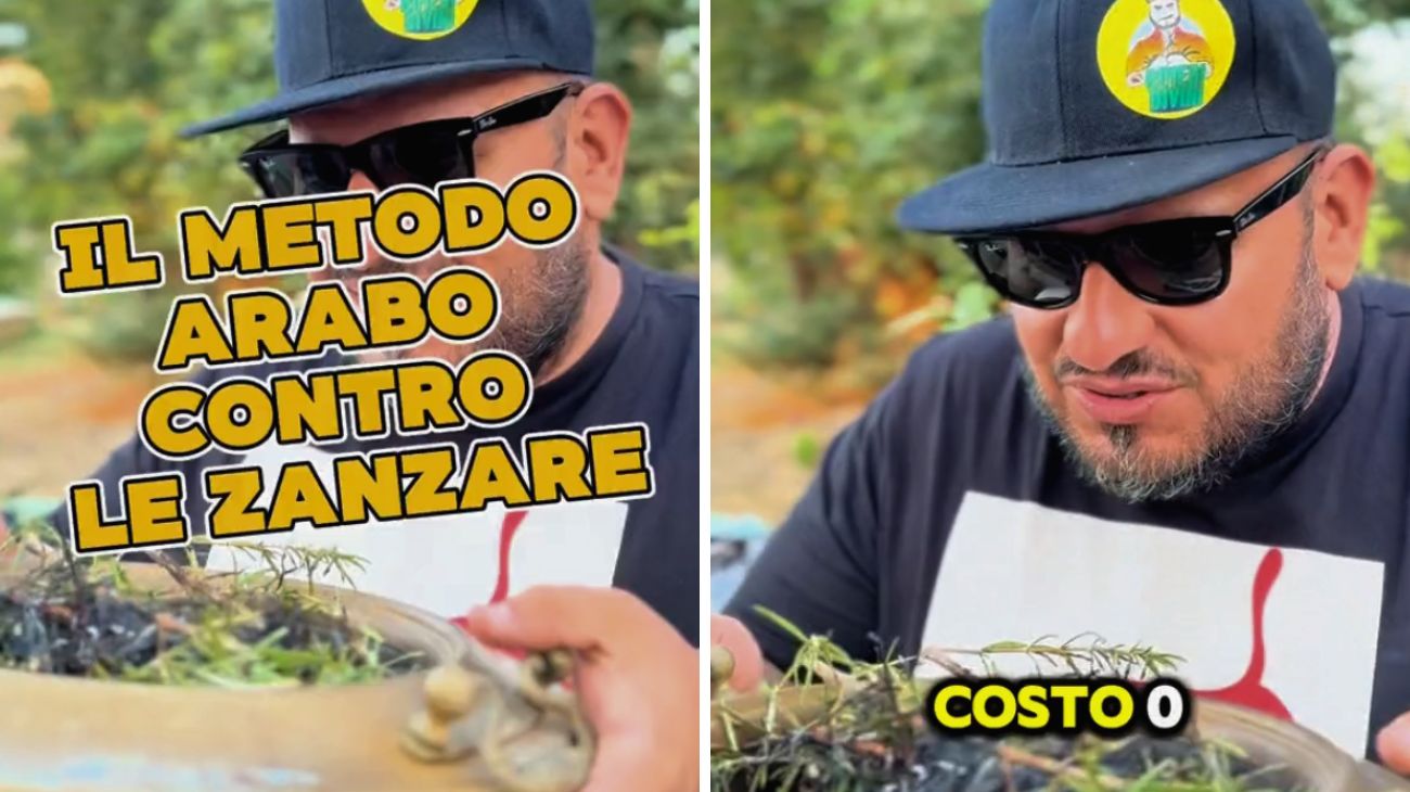 Zanzare, cosa serve per preparare il metodo arabo