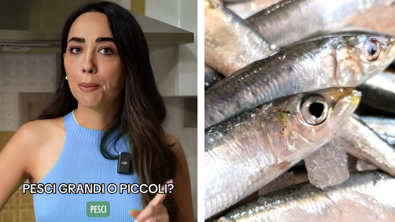 pesci cosa evitare