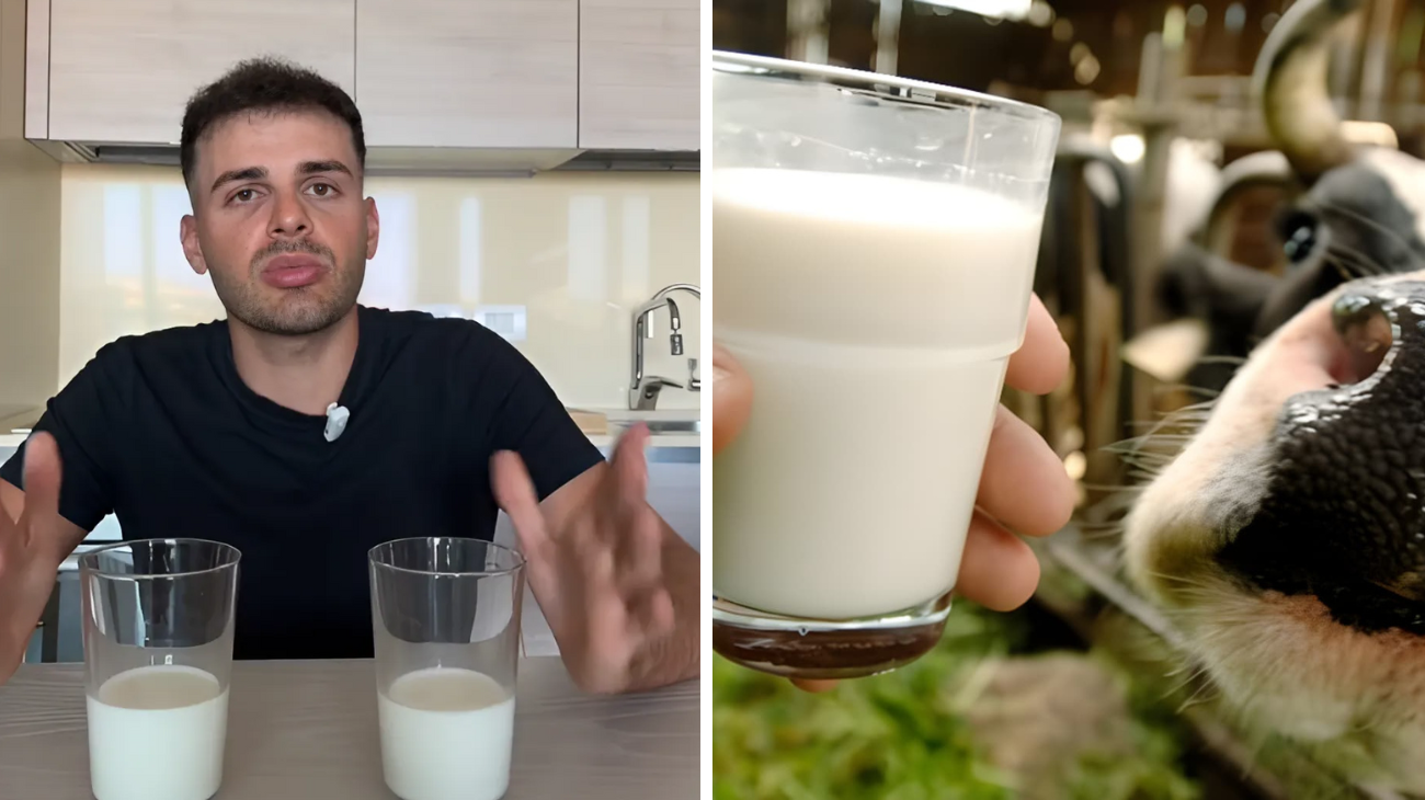 latte quale acquistare