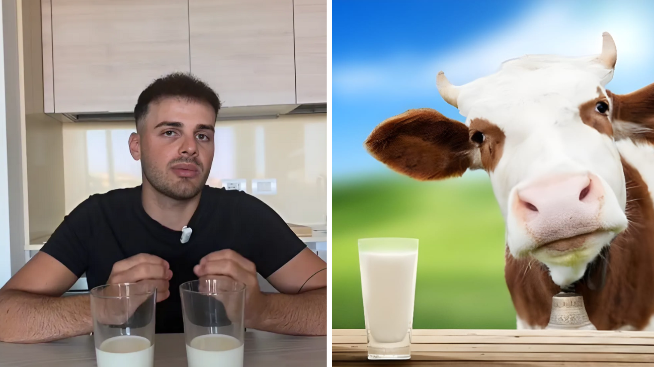 latte quale acquistare