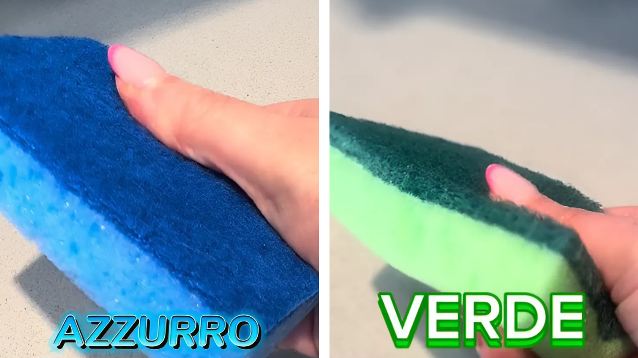 spugna significato colori