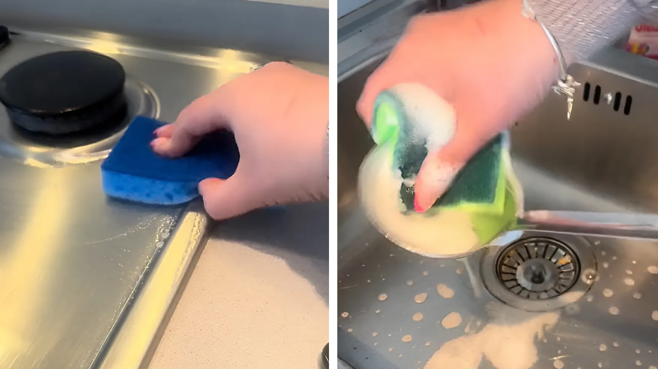 spugna significato colori