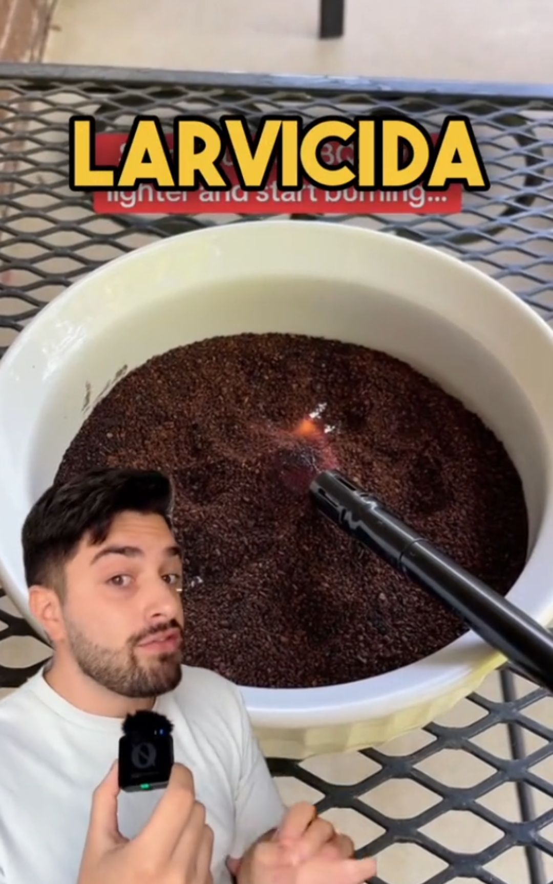 Caffè contro le zanzare, qual è la verità