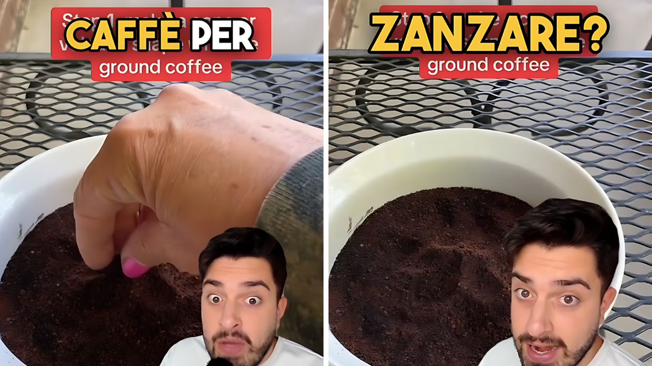 Caffè come repellente per le zanzare: funziona realmente?