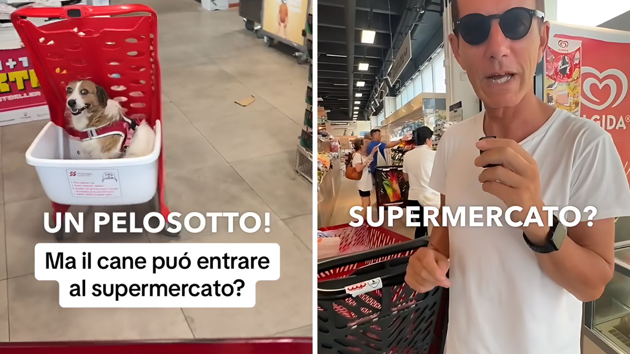 È possibile portare i cani nei supermercati? La risposta dell'avvocato