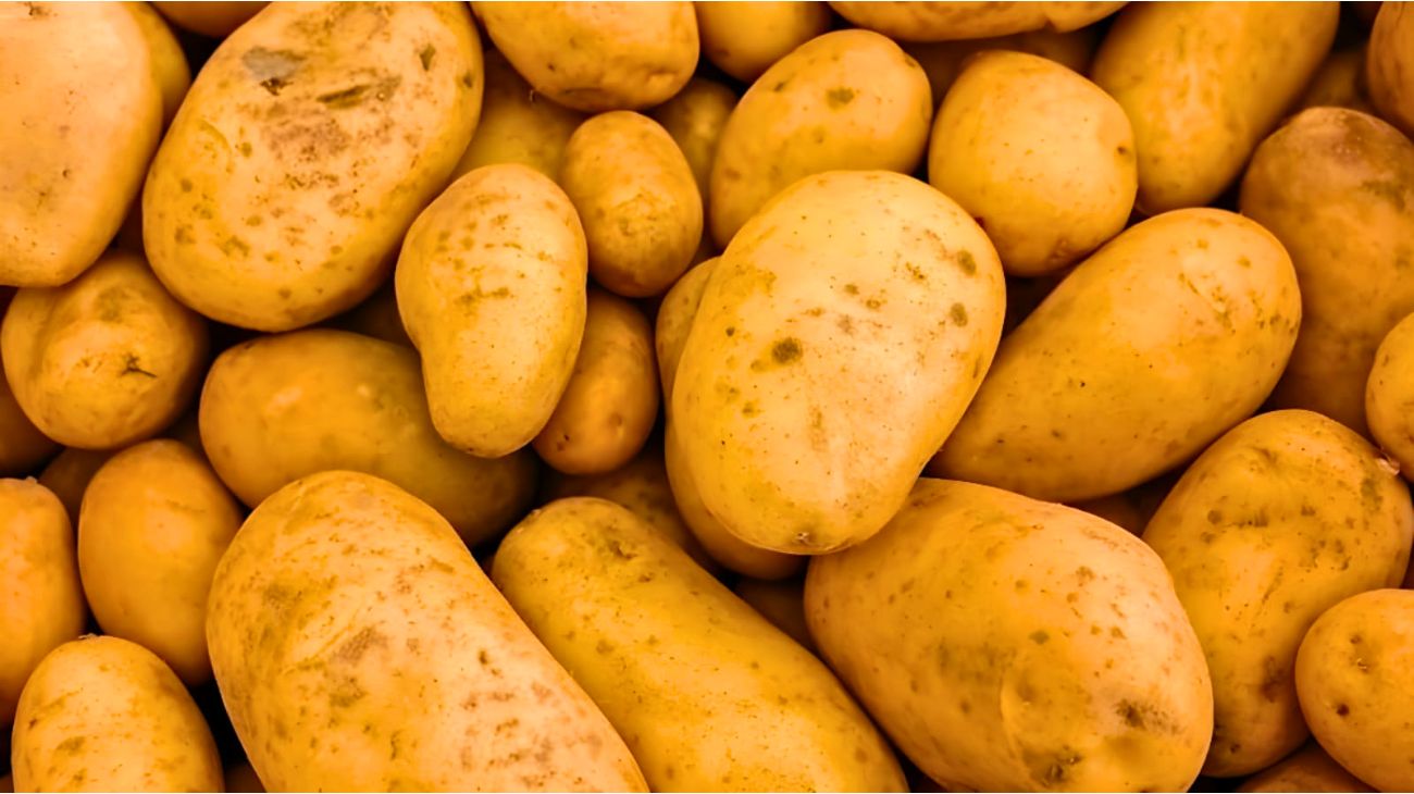 patata smartphone caricare il cellulare