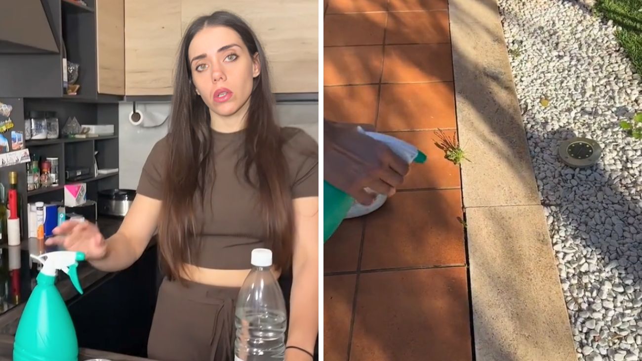 Formiche, il rimedio naturale per tenerle lontane