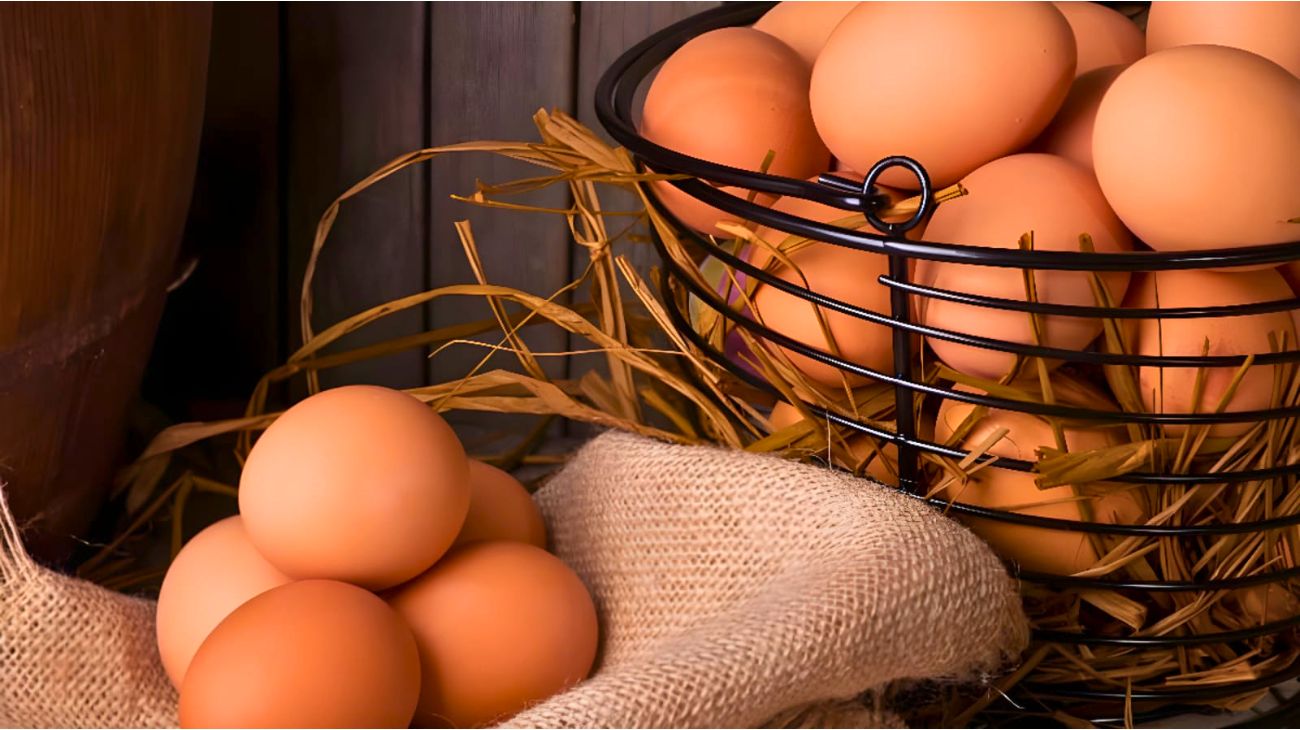 uova ogni giorno mangiare