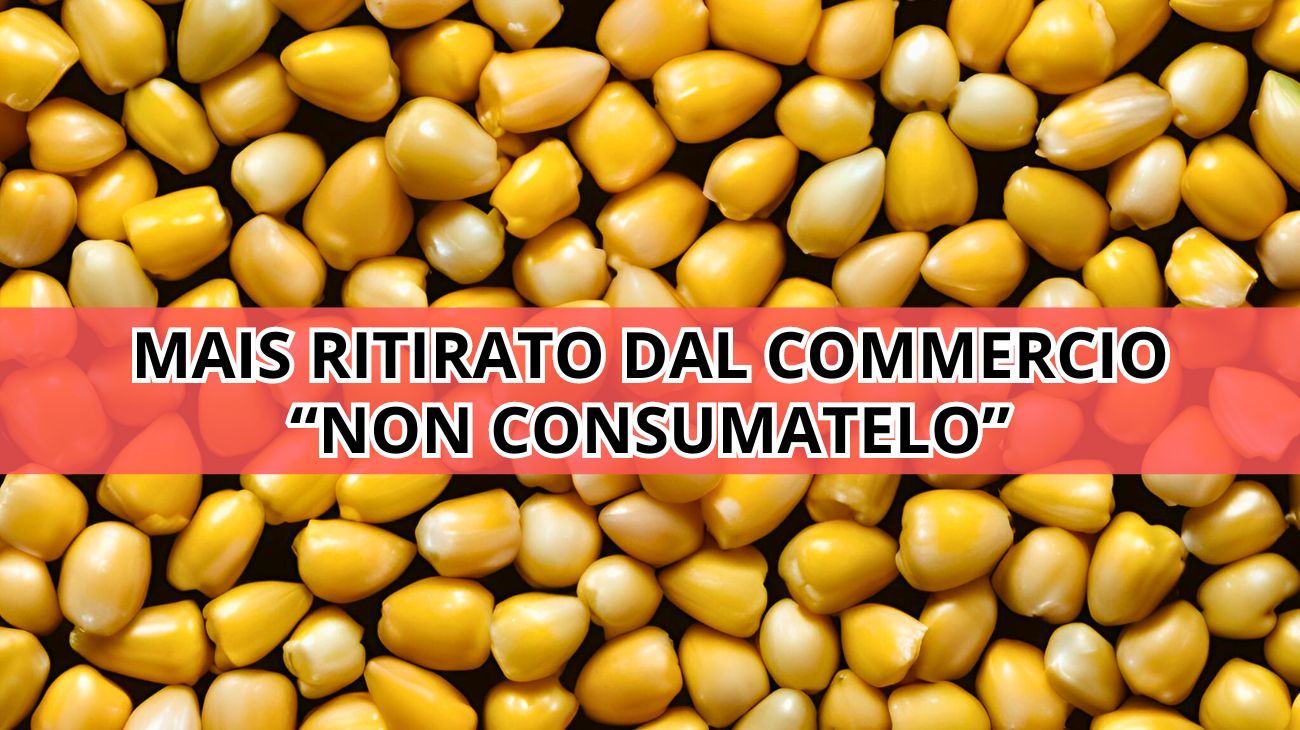 Mais, scatta il ritiro dal commercio per rischio fisico