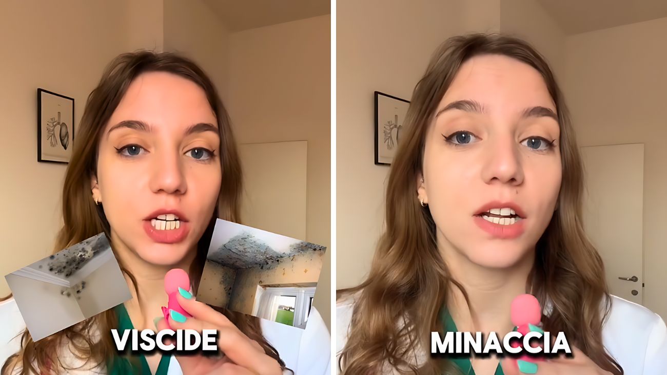 Muffa in casa, quali sono i rischi per la salute