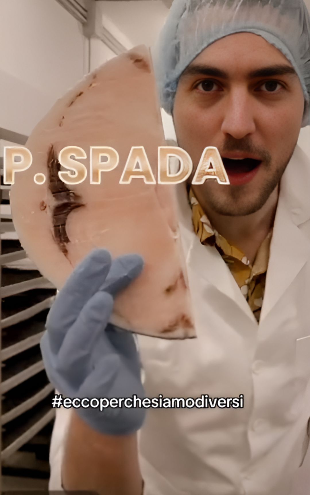 Pesce spada e marlin, come riconoscerli e distinguerli