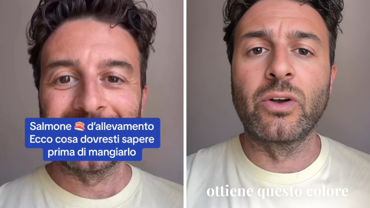 Salmone di allevamento, le cose da sapere prima di mangiarlo