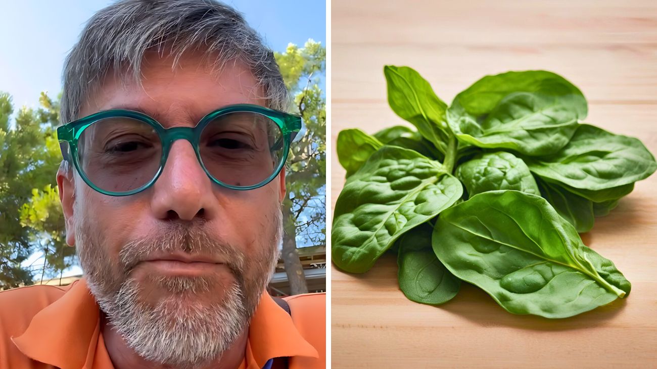 Spinaci, quelli tossici si riconoscono grazie all'odore