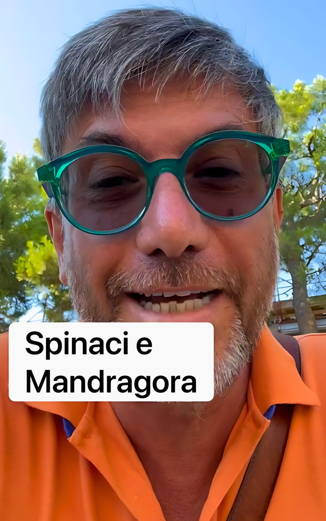 Spinaci, in questo modo è possibile riconoscere quelli tossici