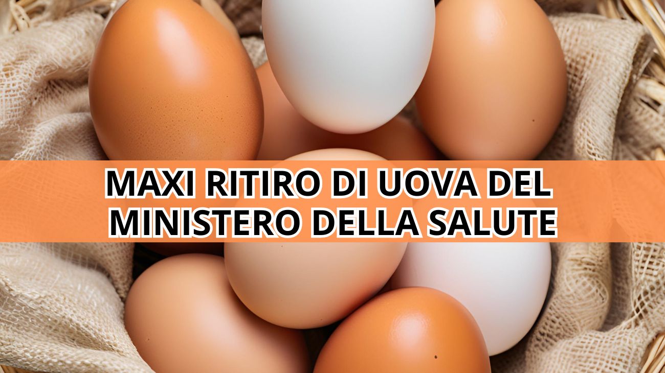 Ministero della Salute, lotti di uova ritirati dal commercio