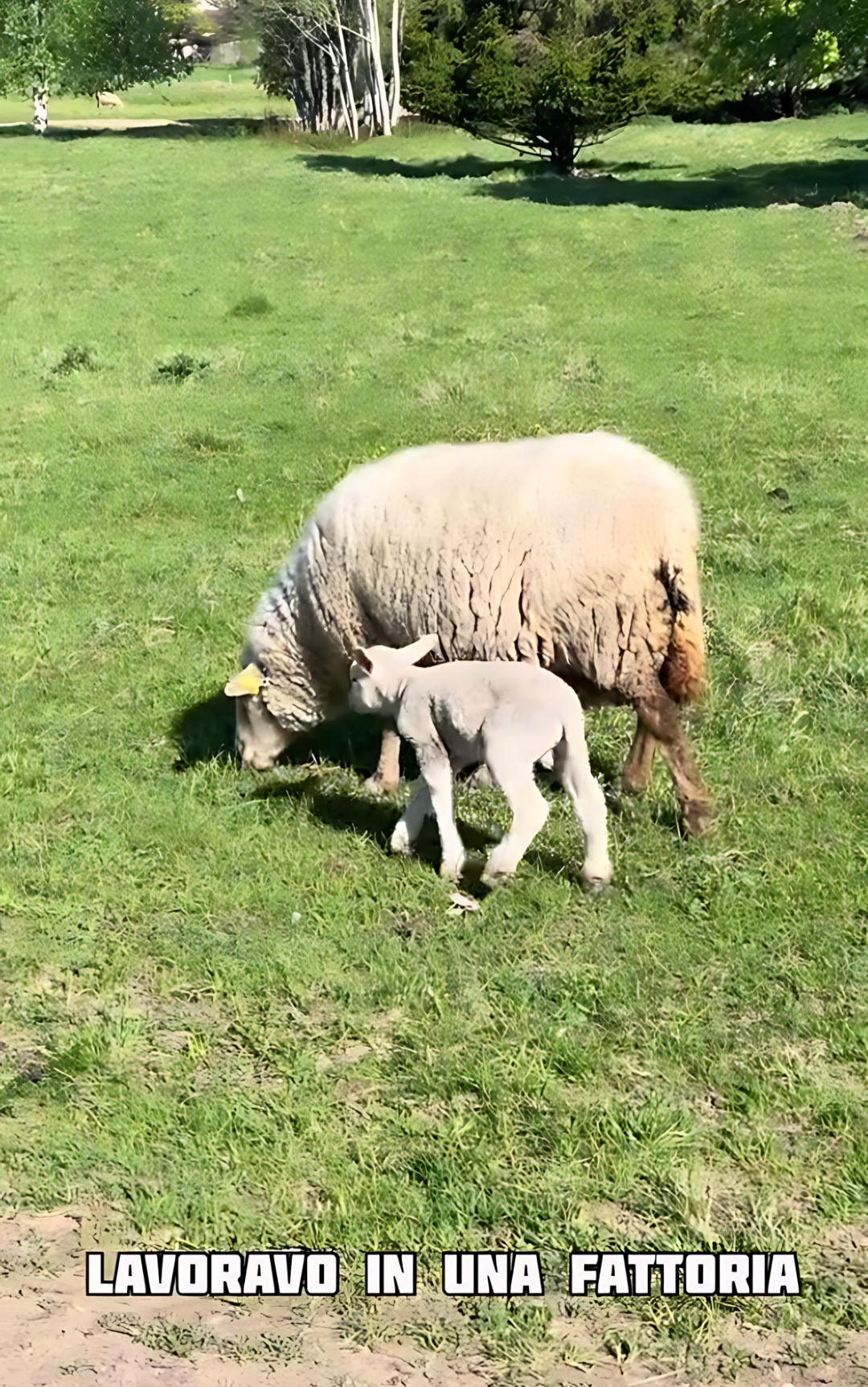 È possibile vivere per un mese all'estero senza spendere nulla: ecco come