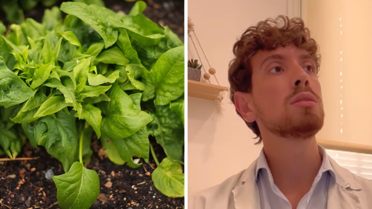 Allergia nichel alimenti consigliati