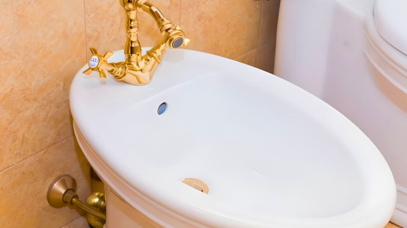 Bidet filtrini pulire trucchi