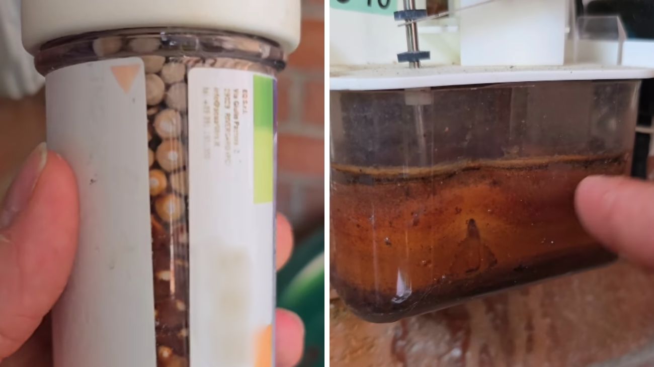 Caldaia manutenzione