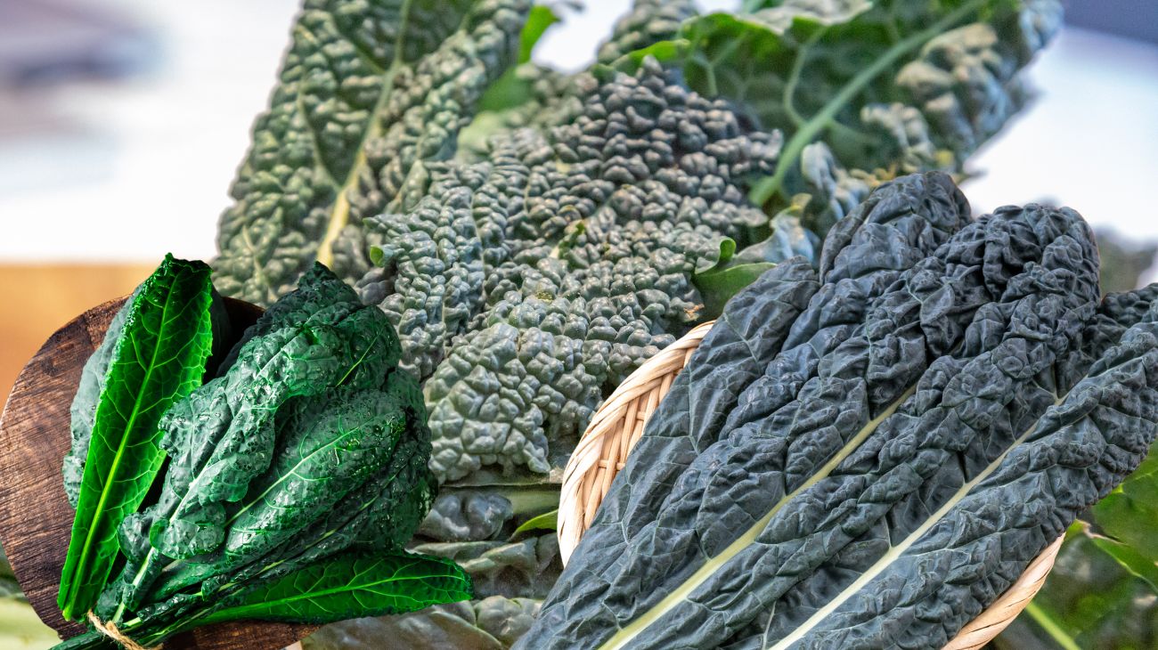 Cavolo nero