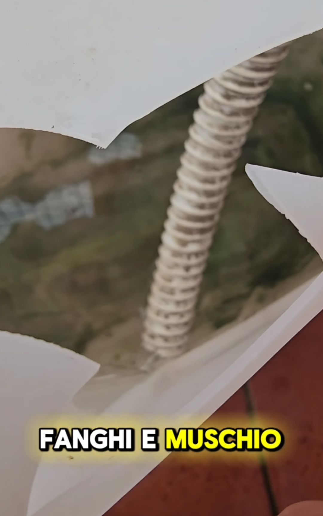 Acqua del condizionatore, le cose da sapere