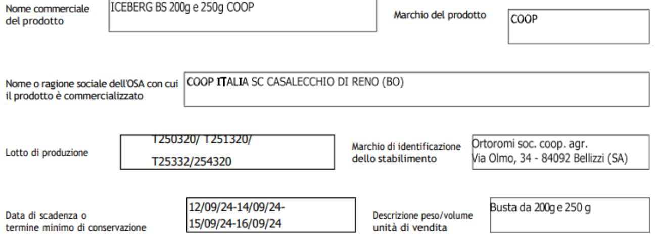 Ministero della Salute, nuovi richiami riguardanti i lotti di insalata