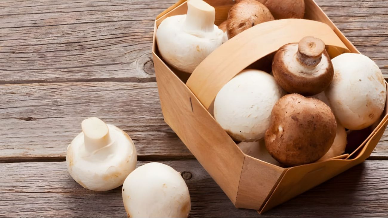 Proteine vegetali dieta alimenti