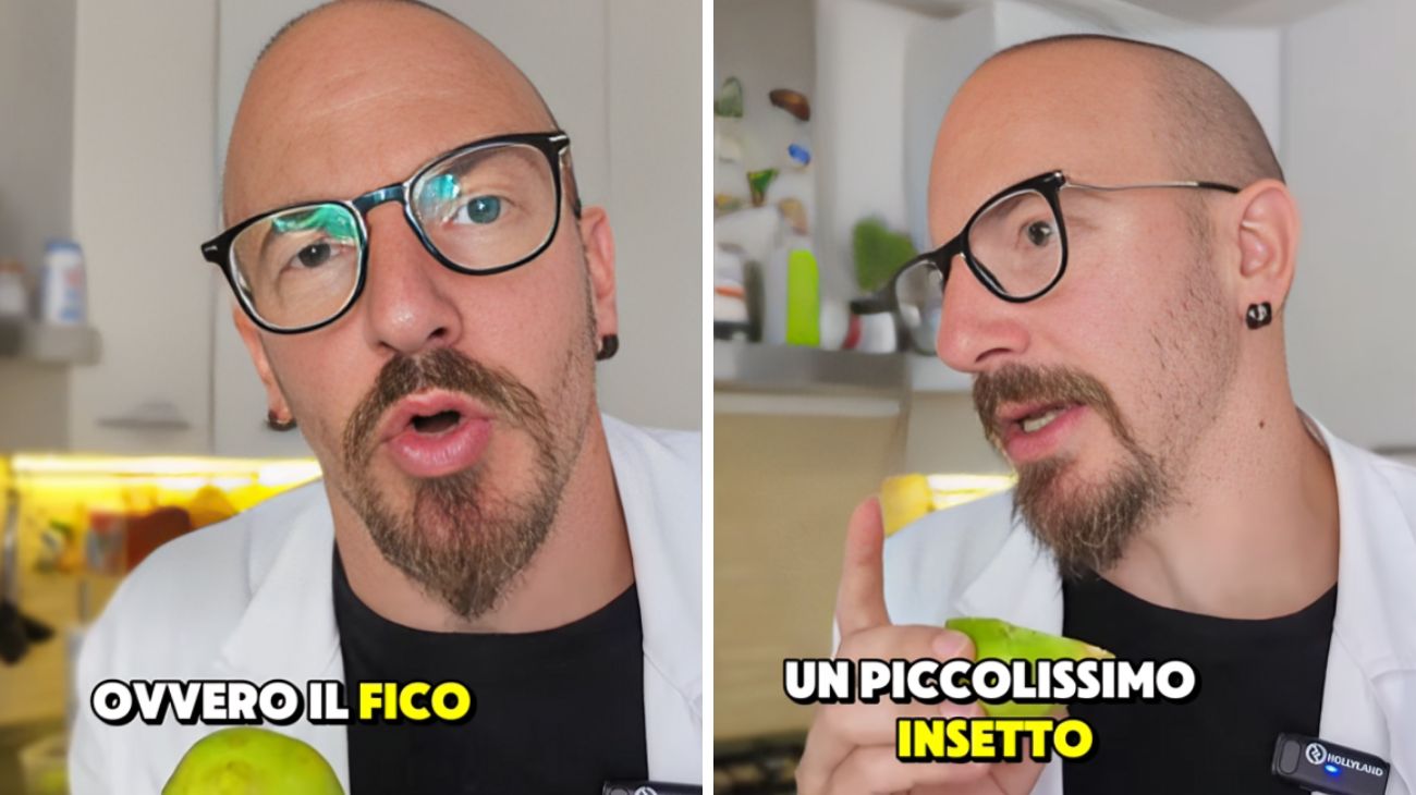 Fico, c'è una vespa al suo interno?