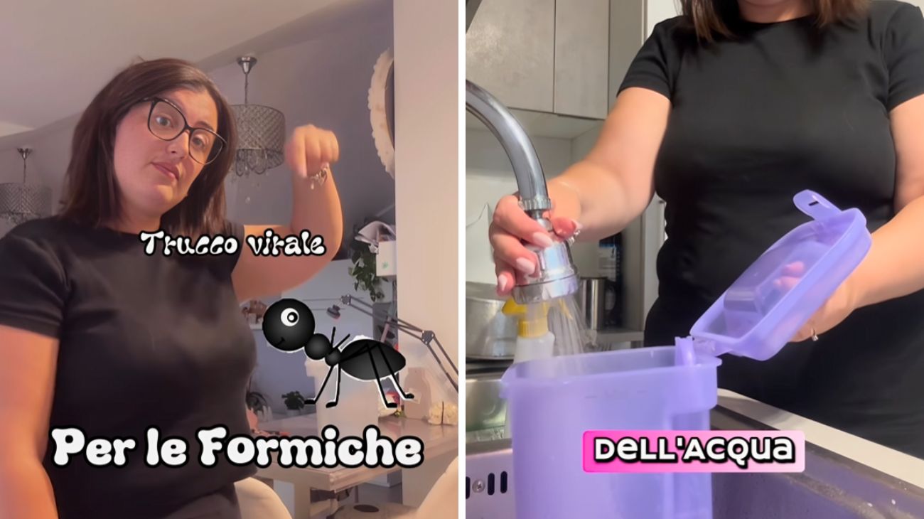 Cosa fare per tenere lontane le formiche