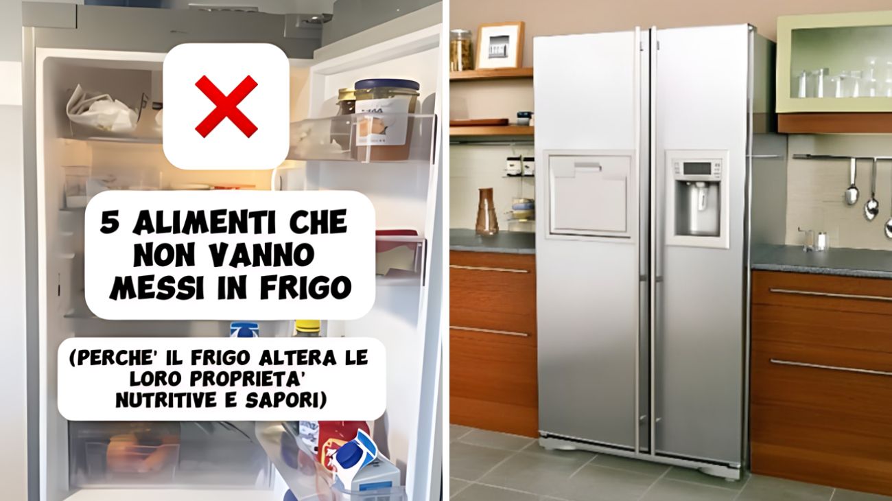 Quali sono i 5 alimenti da non conservare nel frigorifero