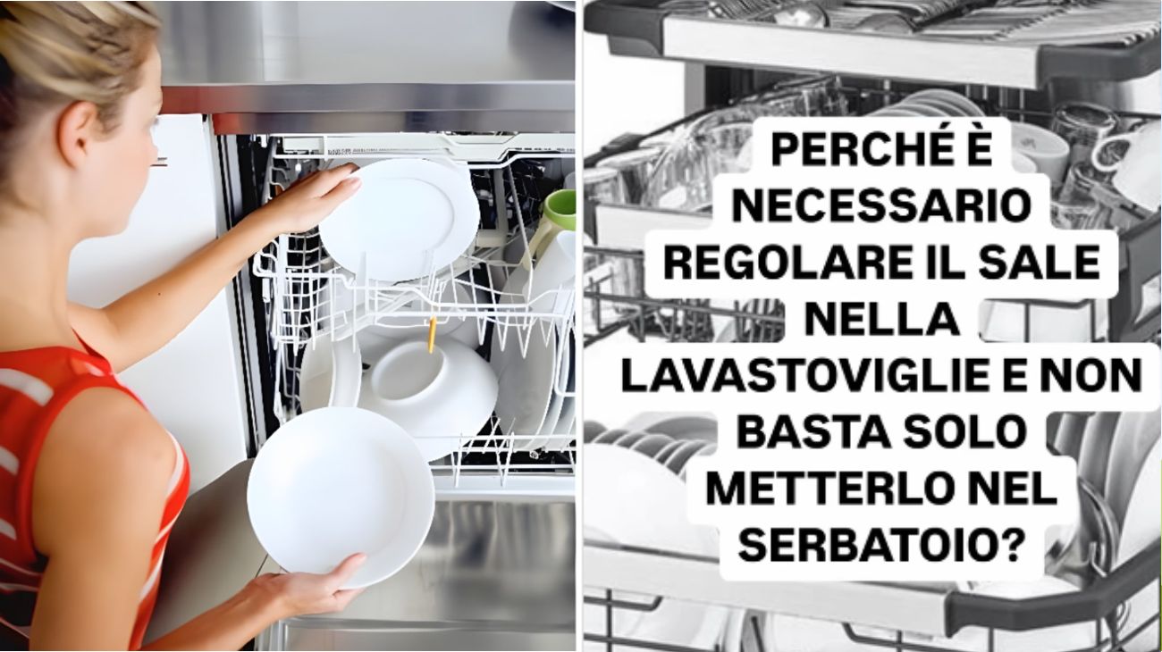 lavastoviglie sale