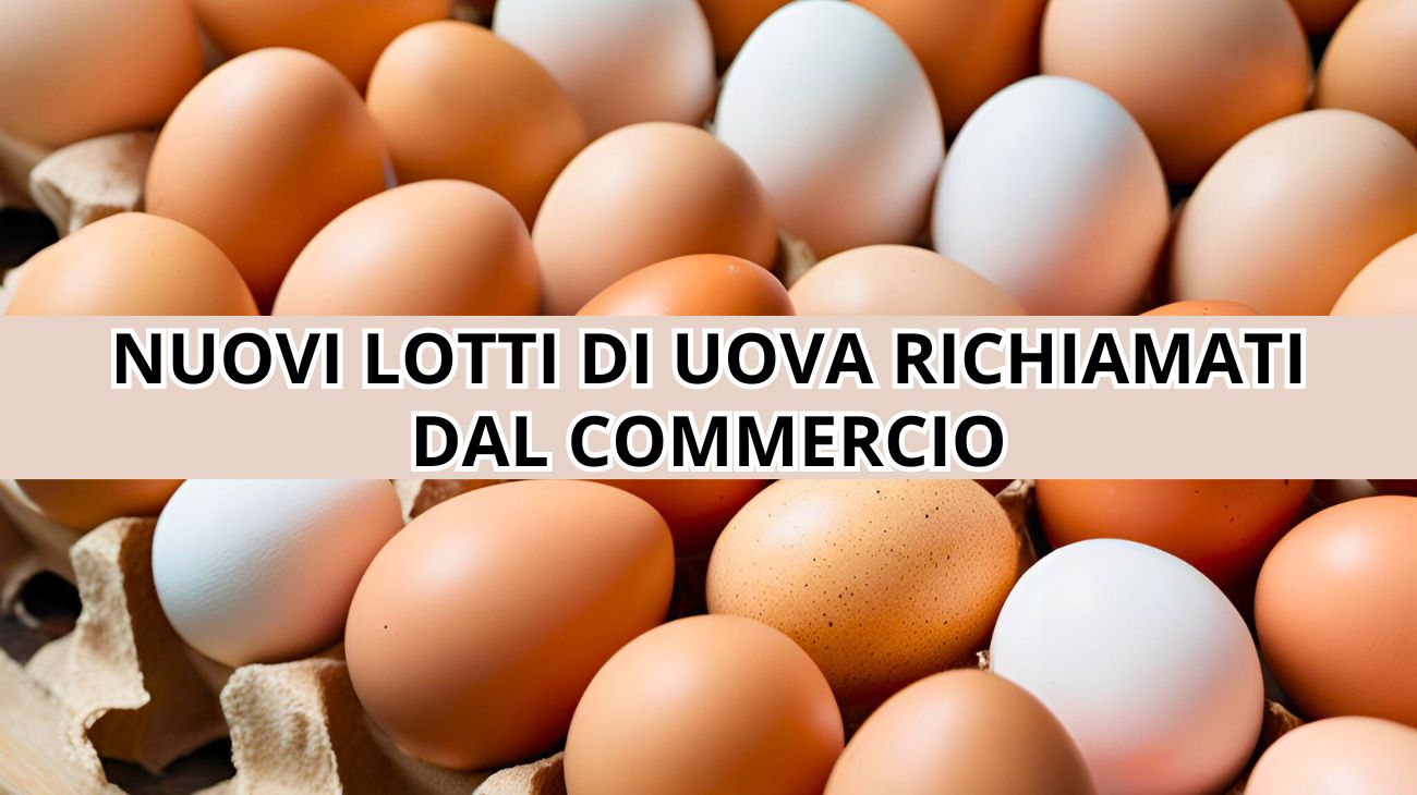 Uova richiamate dal commercio: nuovo comunicato poco fa